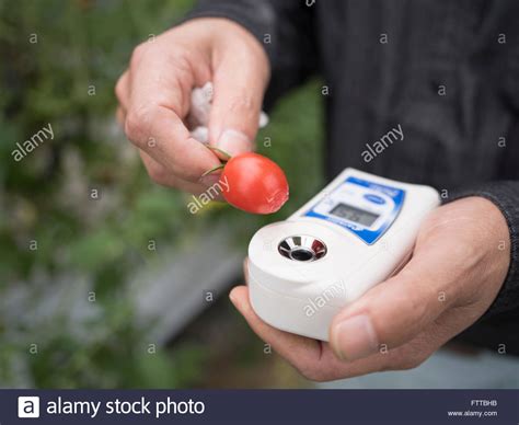 tomato paste brix refractometer|how is tomato paste calculated.